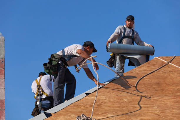 Roof Gutter Cleaning in Brackenridge, PA